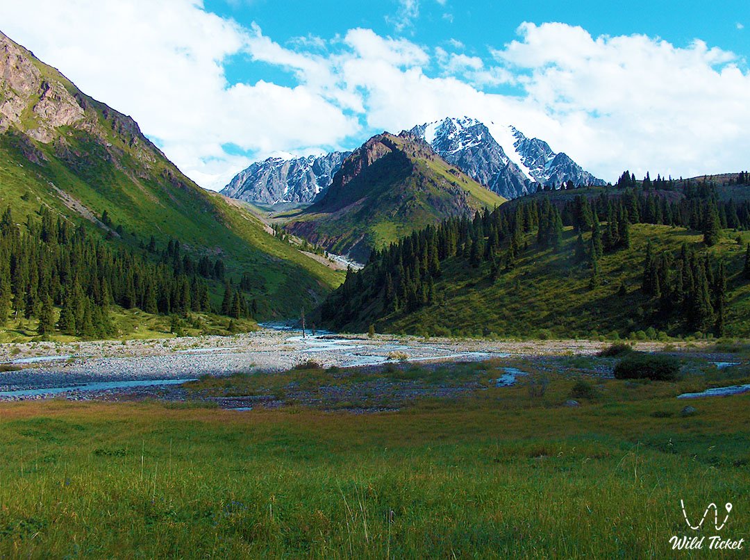Sunny Mountain Meadow in the Left Talgar gorge
