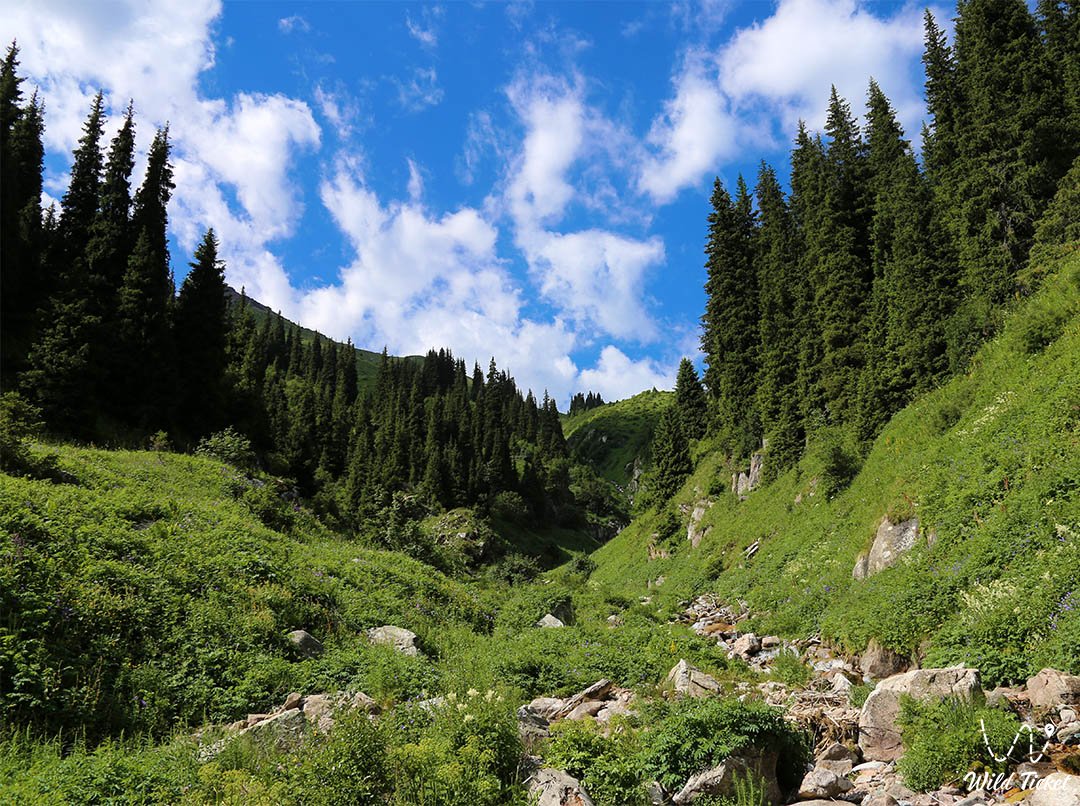 Орлиное Гнездо (стоянка туристов и скалы)