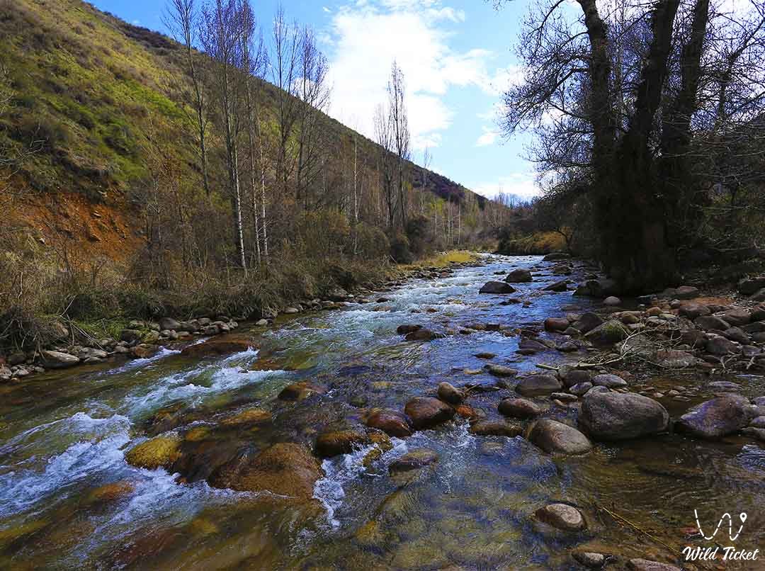 Kaskelen River: magical water and pearl of the Trans-Ili Alatau