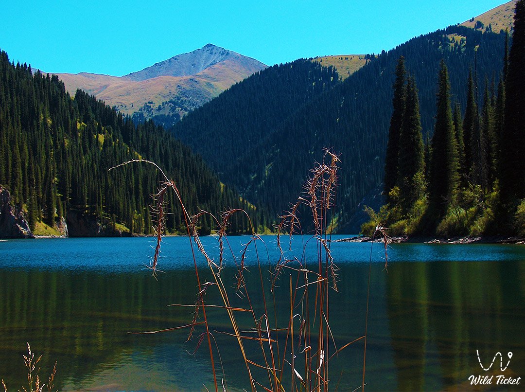 Kolsay湖中: 天山山中一颗隐藏的山明珠
