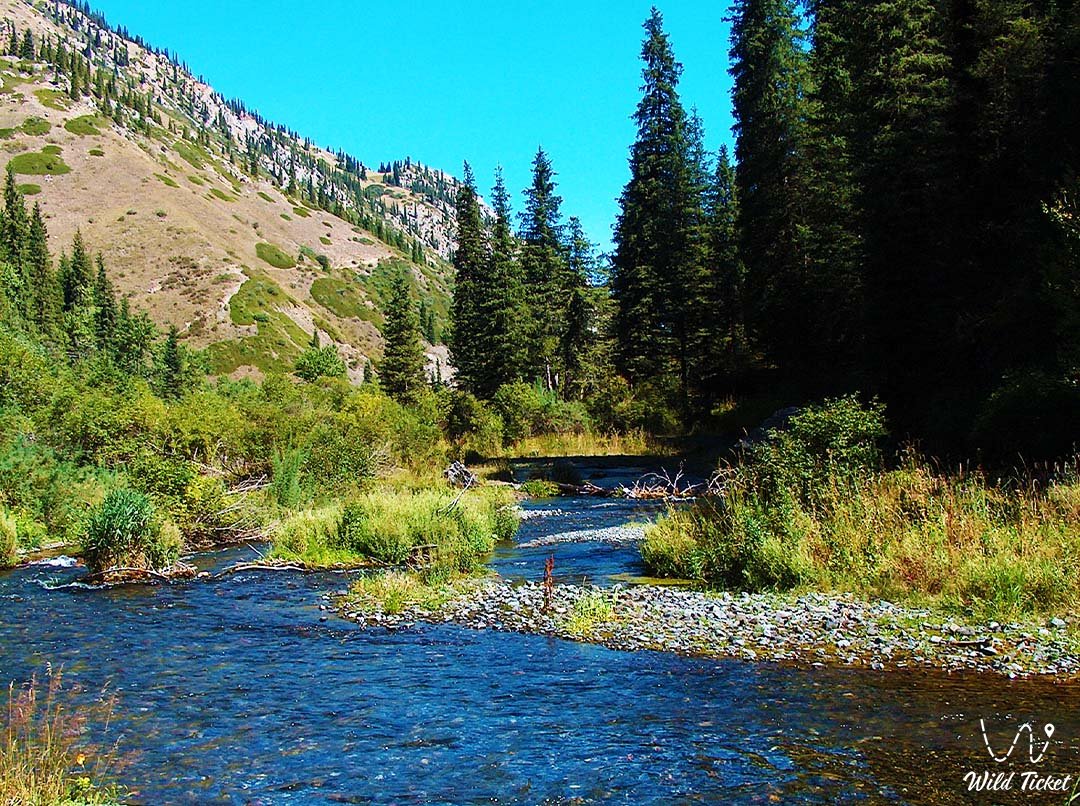 Kolsay河: 风景秀丽的山涧