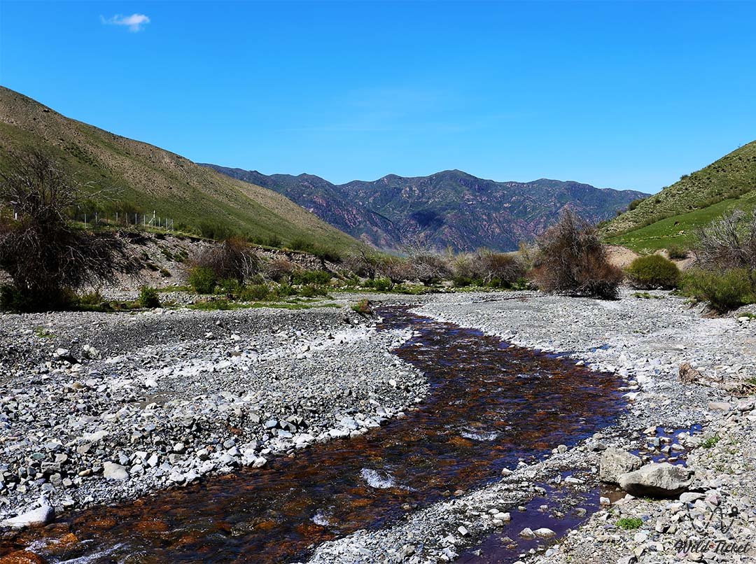 The Kaindy River is a right tributary of the Chilik River