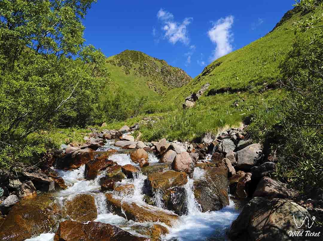 Saty River in the Kolsay Lakes National Park