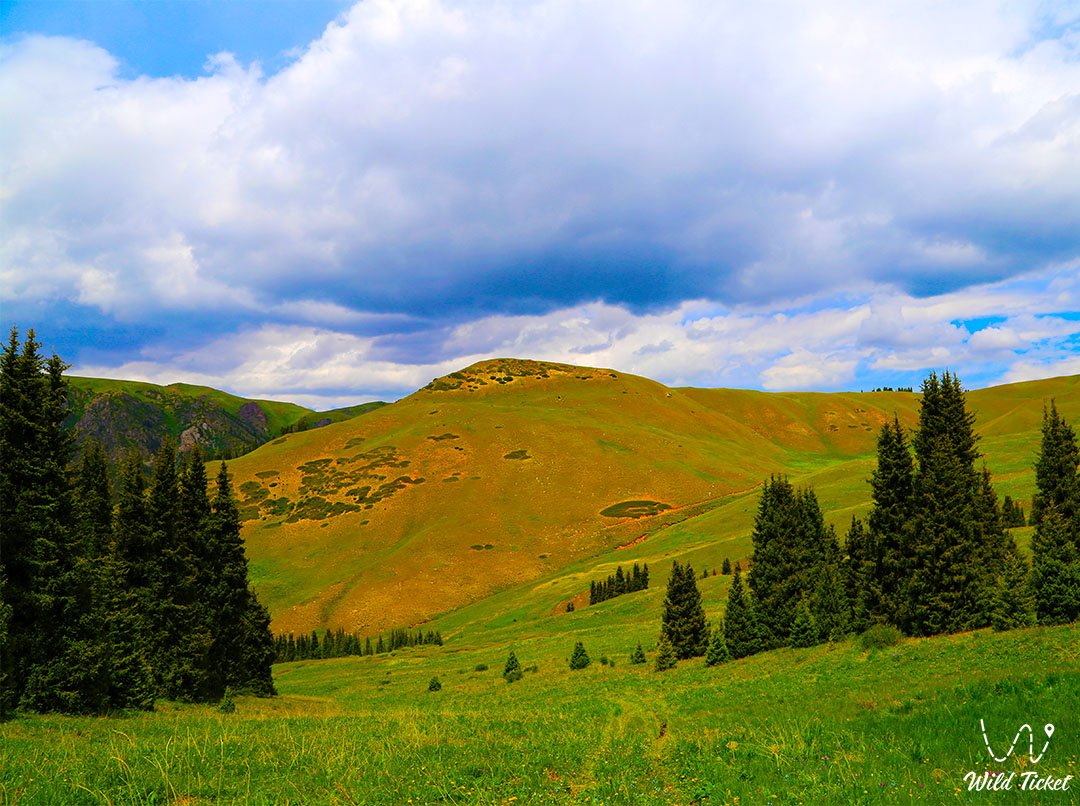 Karasay Gorge in the Kolsai Lakes National Park