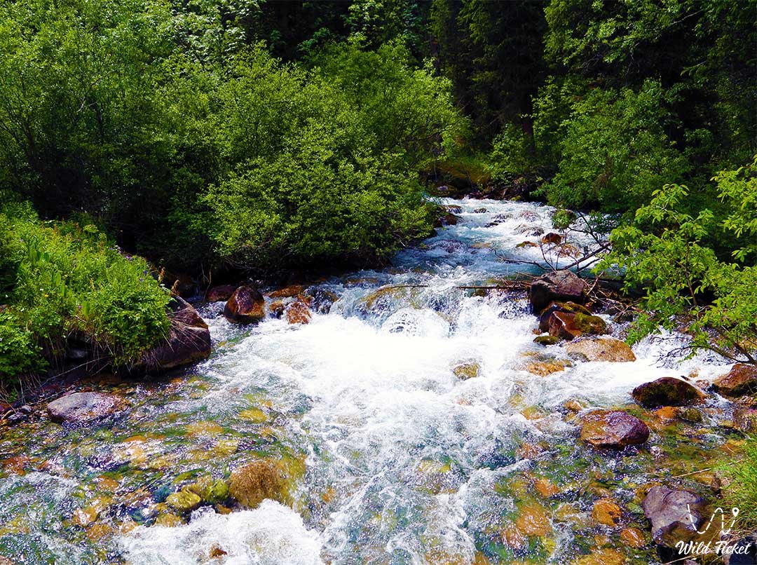 Kolsay Park的Karasay河