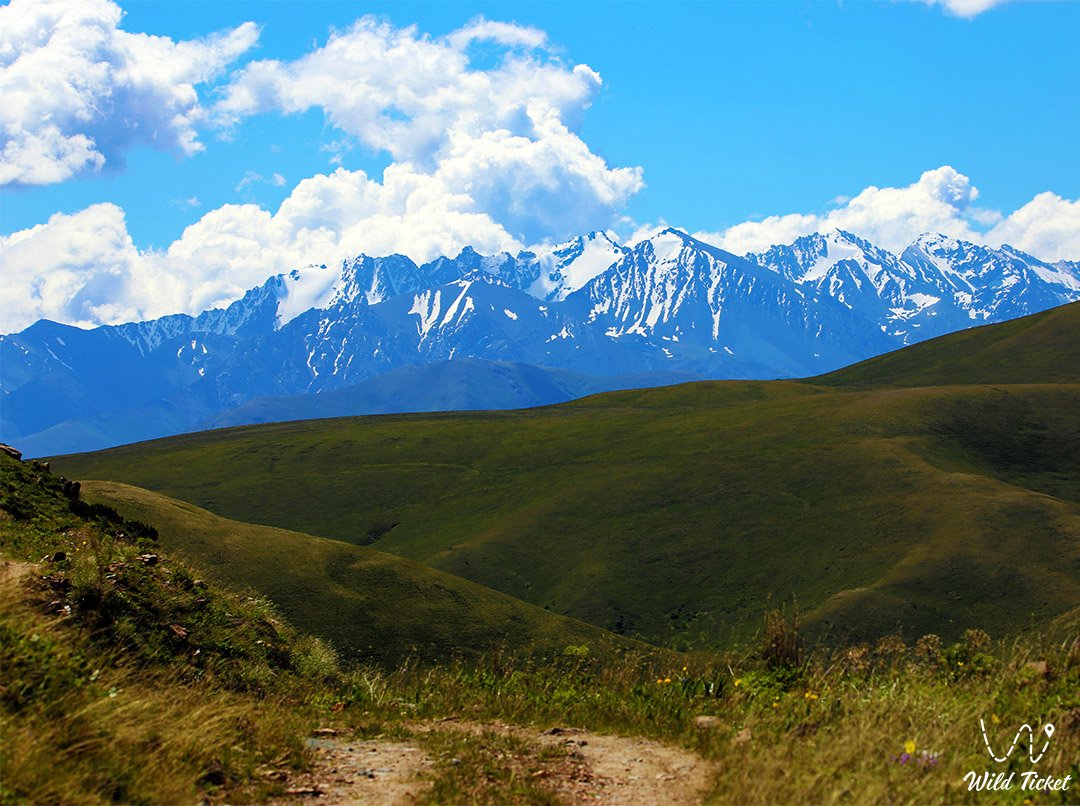 Kurmenty mountain gorge and tract in the Kolsay Lakes Park