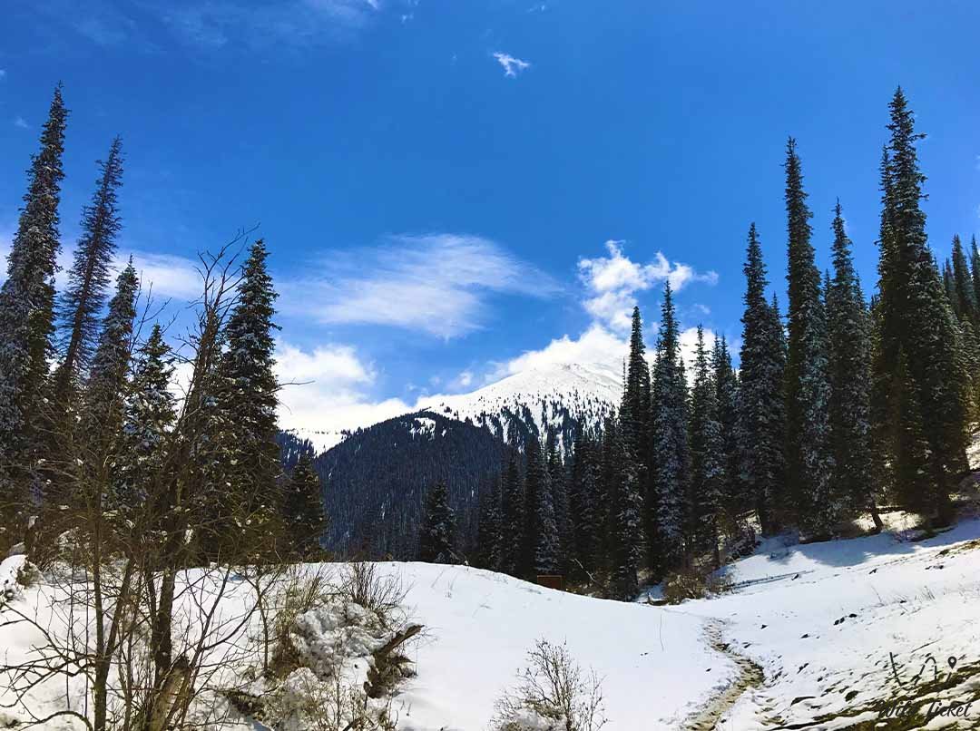Kayrakty Gorge in Kolsay Lakes National Park