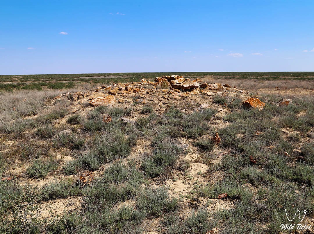 Курганы с «усами» Центрального Казахстана