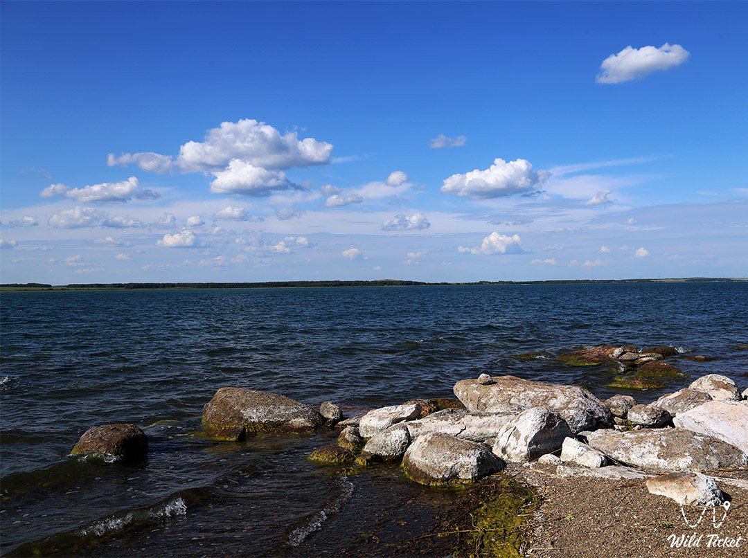 Озеро Шалкар – жемчужина Айыртау и сила природы
