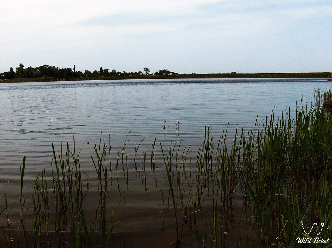 Озеро Саумалколь – живая гладь в сердце Северного Казахстана