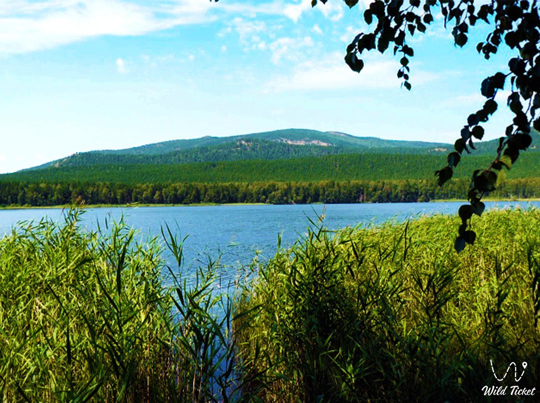 Lake Svetloe - a pearl of silence in the heart of Burabay