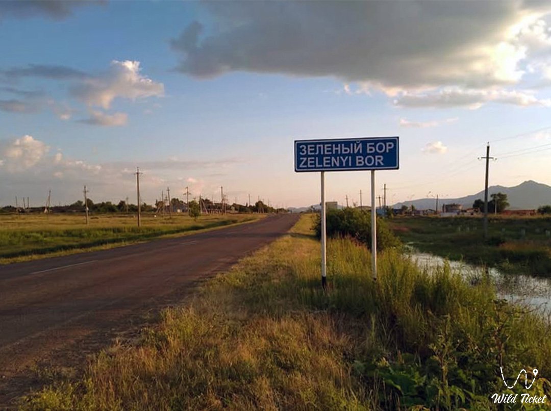 Zeleny Bor is a cozy corner of Burabay, where the forest meets the mountains