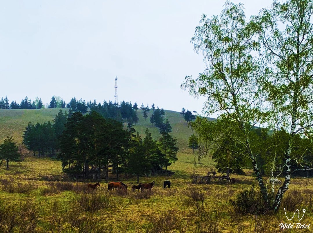 Lysaya Mountain in Burabay district