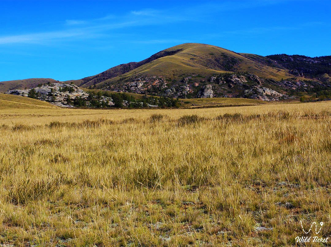 Buiratau National Park – young and amazing park in Kazakhstan