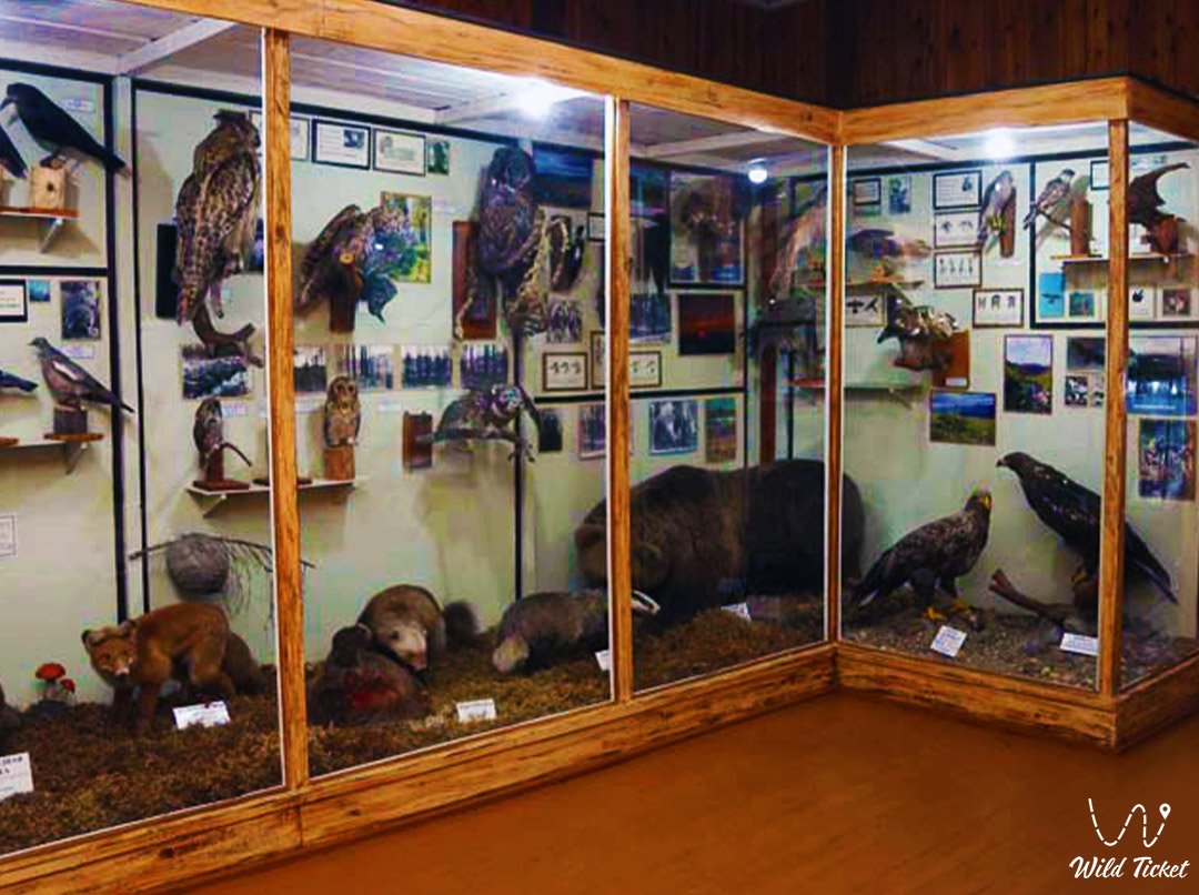 Nature Museum in Buiratau National Park