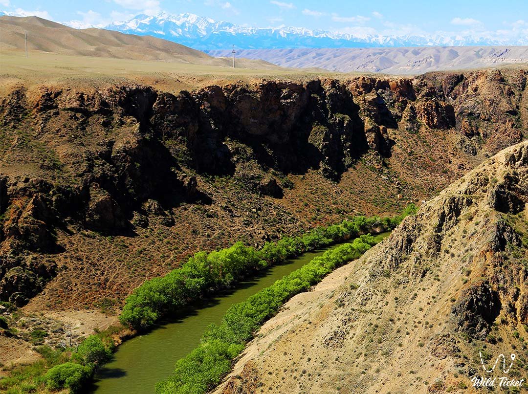 Charyn峡谷: 哈萨克斯坦的火星景观, 石头随着时间的推移而燃烧