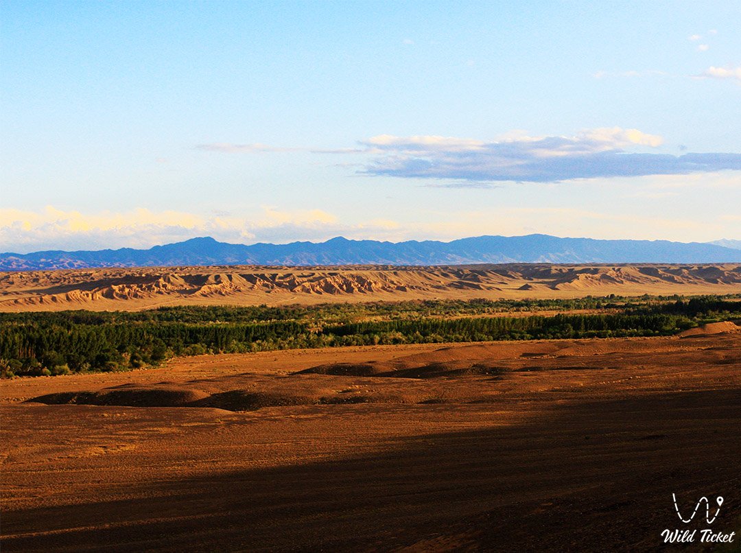 Sarytogay道: Charyn公园的阿什伍德珍珠