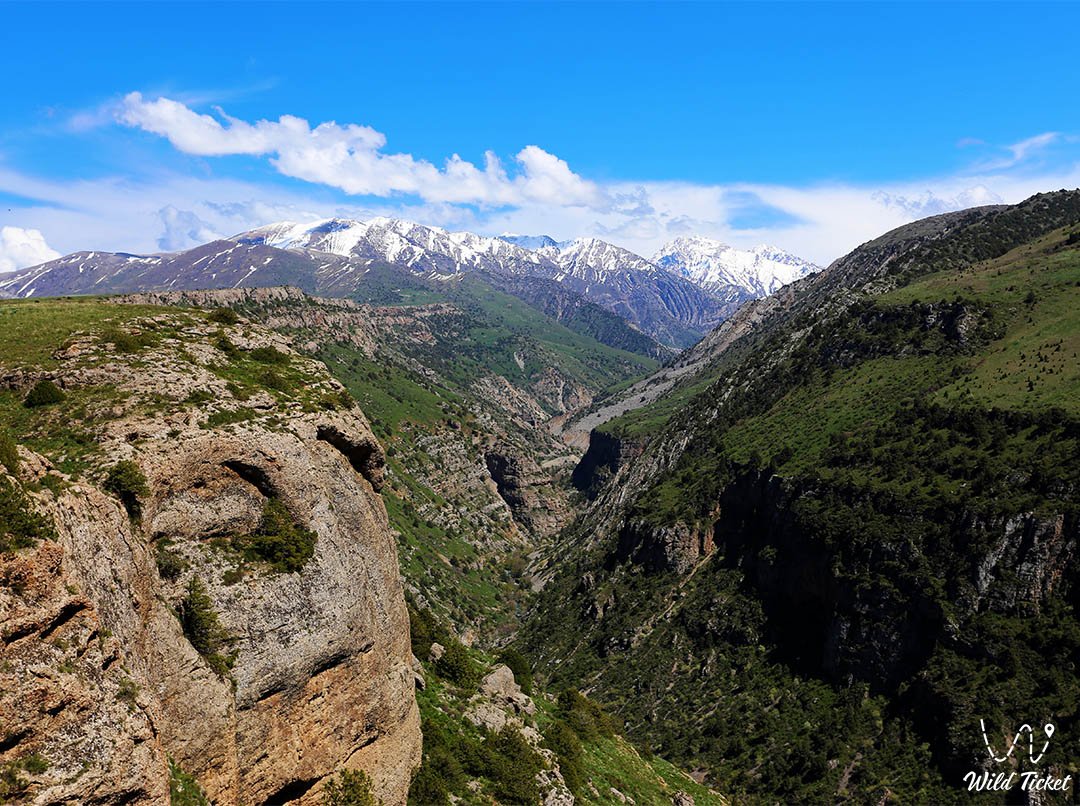 Aksu峡谷在Aksu-Zhabagly自然保护区 - 大自然的雄伟奇迹