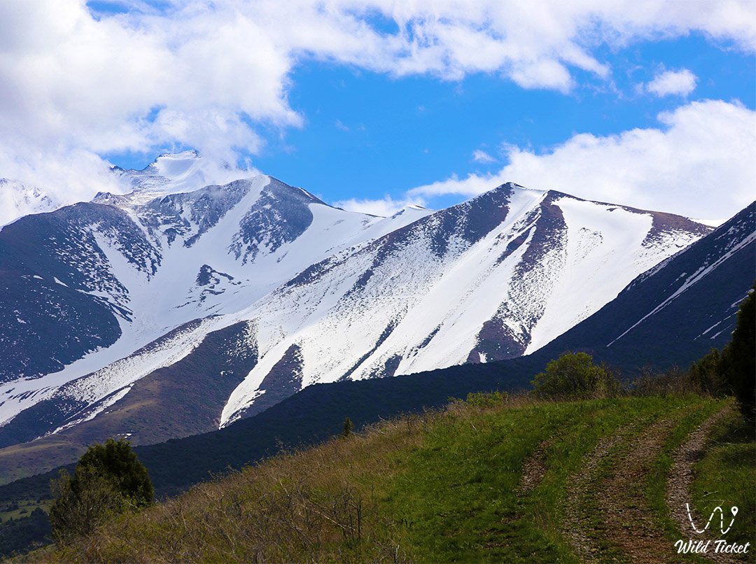Aksu-Zhabagly自然保护区的Kishi-Kaindy峡谷