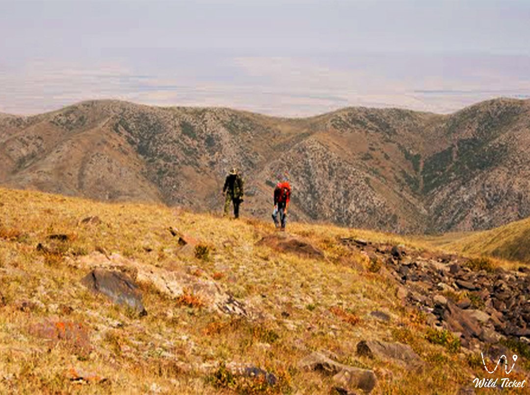 Aksu-Zhabagly自然保护区的Koksay峡谷 - 野生自然奇观