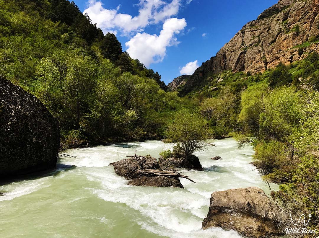 Реки в заповеднике Аксу-Жабаглы – живые водные артерии планеты