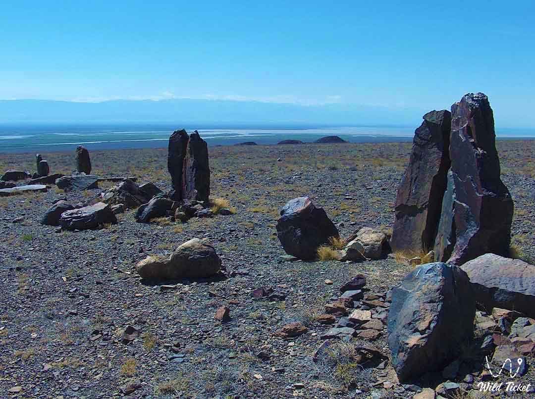 Besshatyr Menhirs: 石头说祖先语言的地方