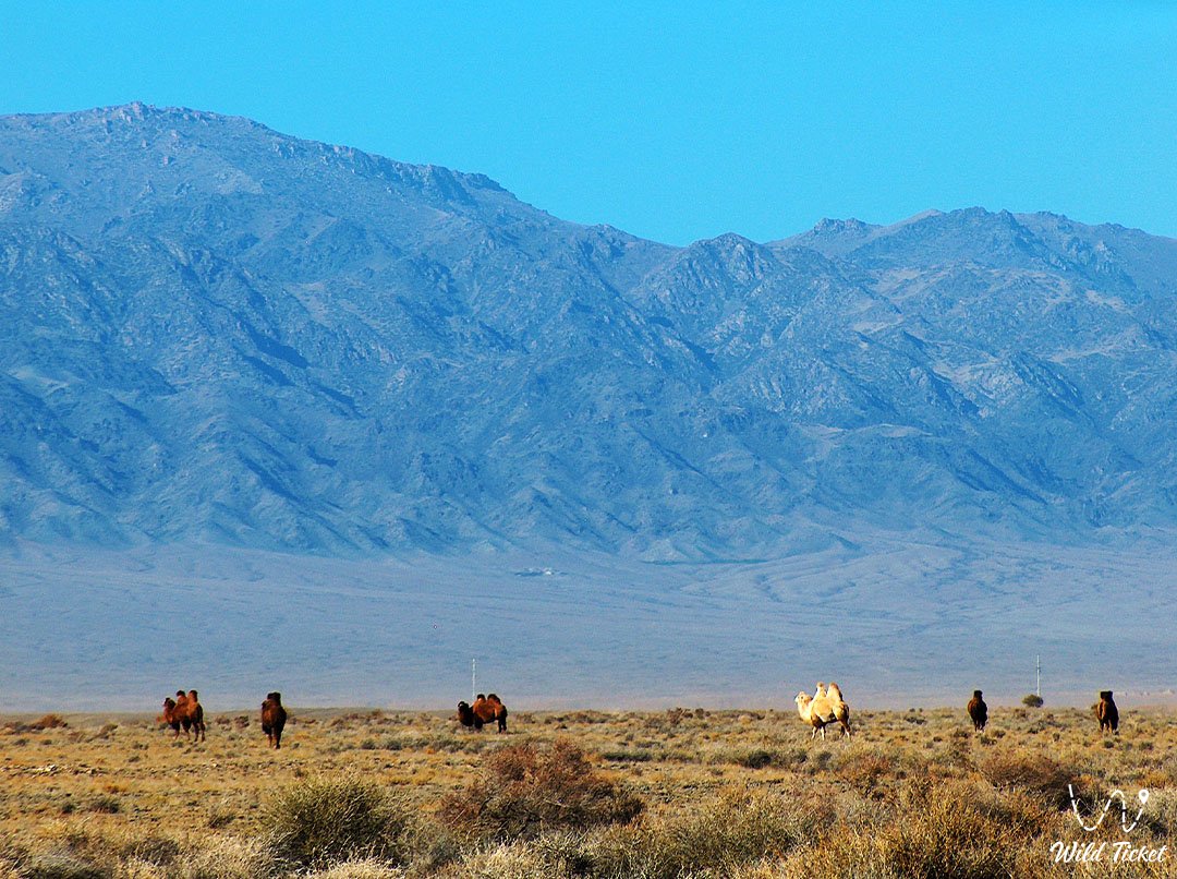 Matai山脉: Altyn-Emel的神秘与伟大