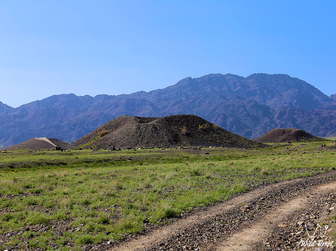 Besshatyr土堆: 古代萨卡斯雄伟的陵墓