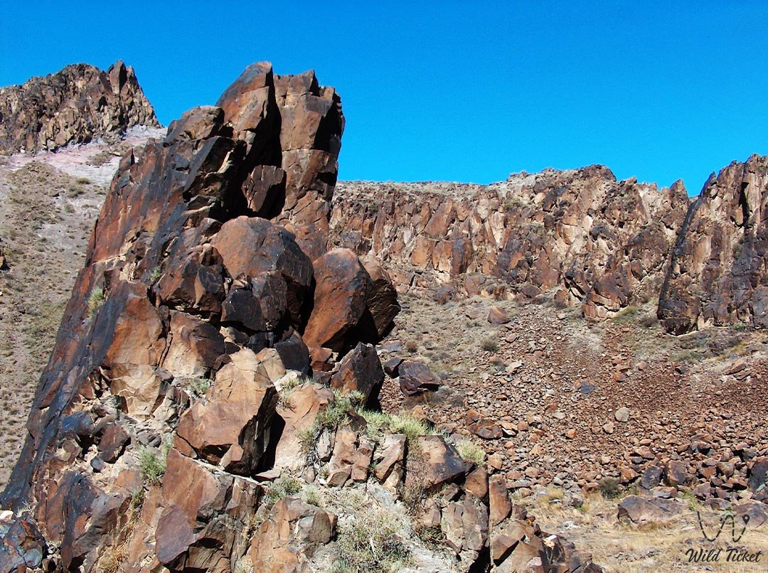 Ущелье Теректы и петроглифы в парке Алтын-Емель