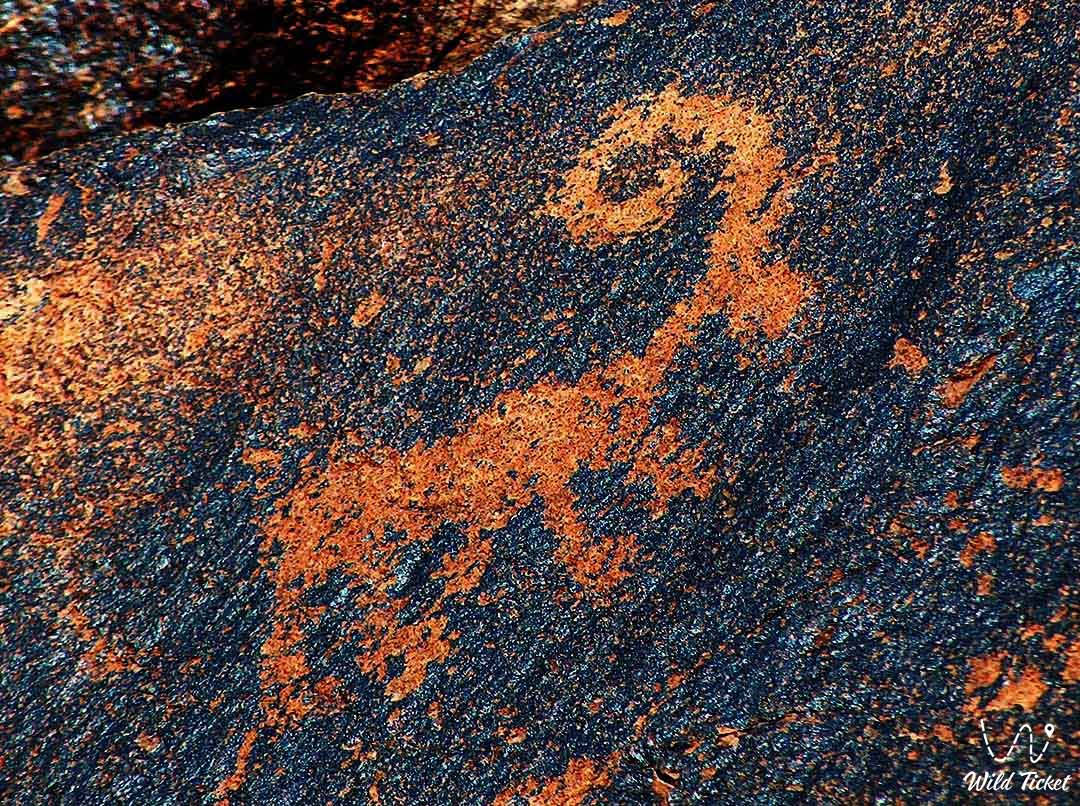 Петроглифы Теректы в ущелье Теректы (Алтын-Емель)