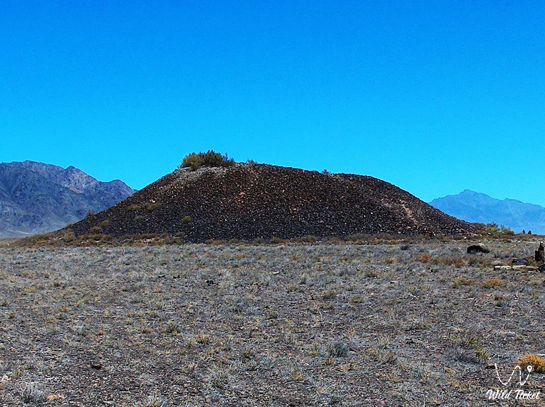 Большой курган Бесшатыр в парке Алтын Емель