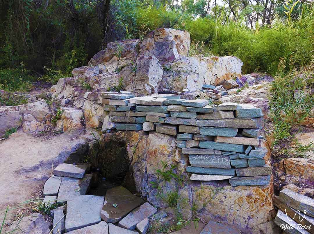 Родник Чокана Валиханова – живая вода Алтын-Эмеля