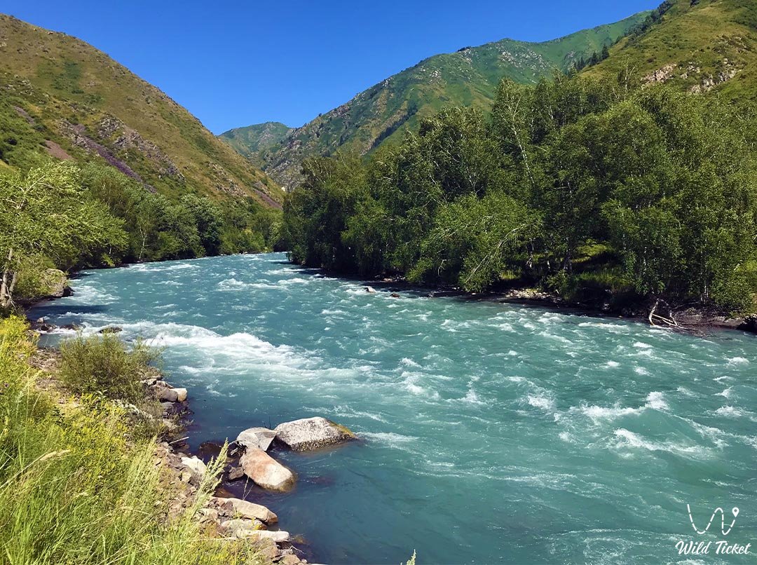 Koksu河: Dzungarian Alatau的绿松石龙