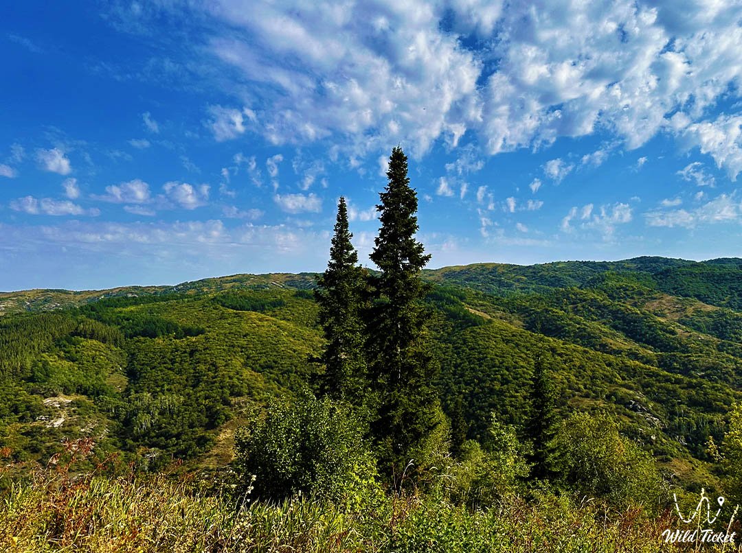 Zhongar-Alatau国家公园是东Zhetysu的明珠