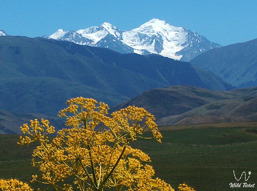 Semenov-Tyan-Shansky峰-Dzhungarian Alatau的领主