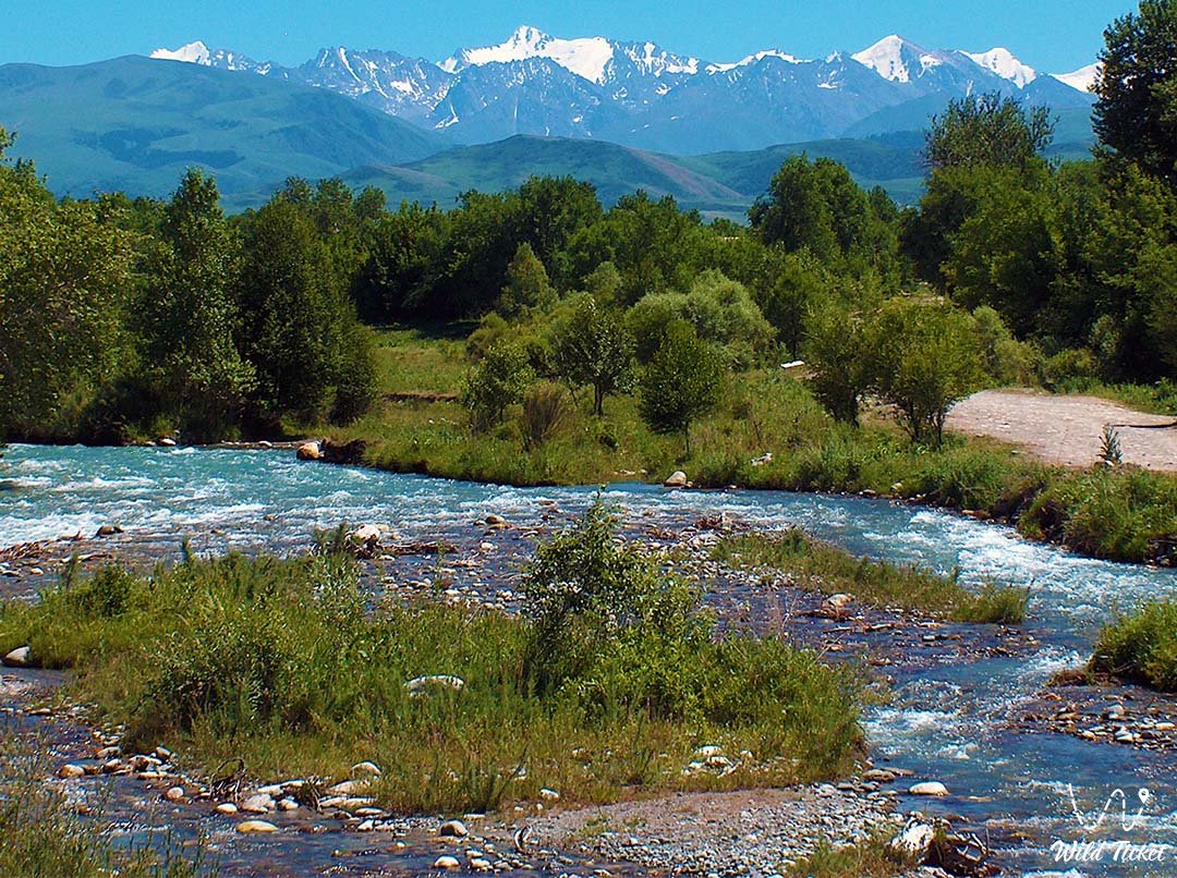 Dzungarian Alatau的Aganakty河