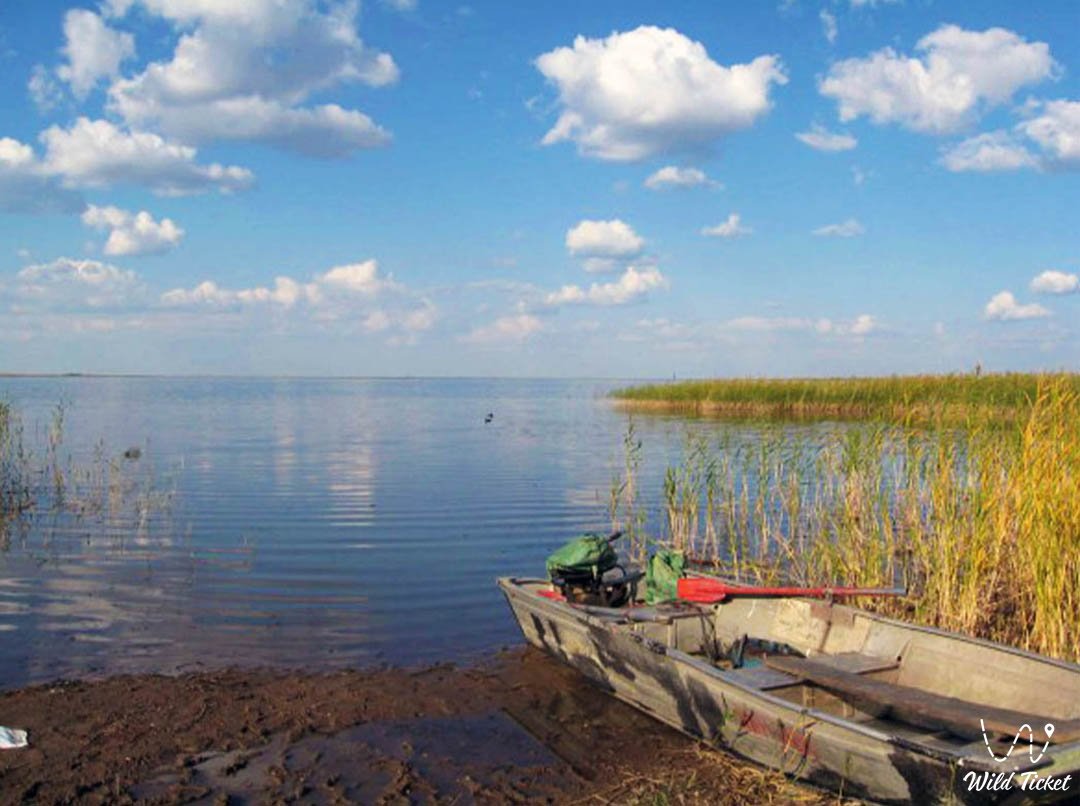 Озеро Сасыкколь в Жетысуской области