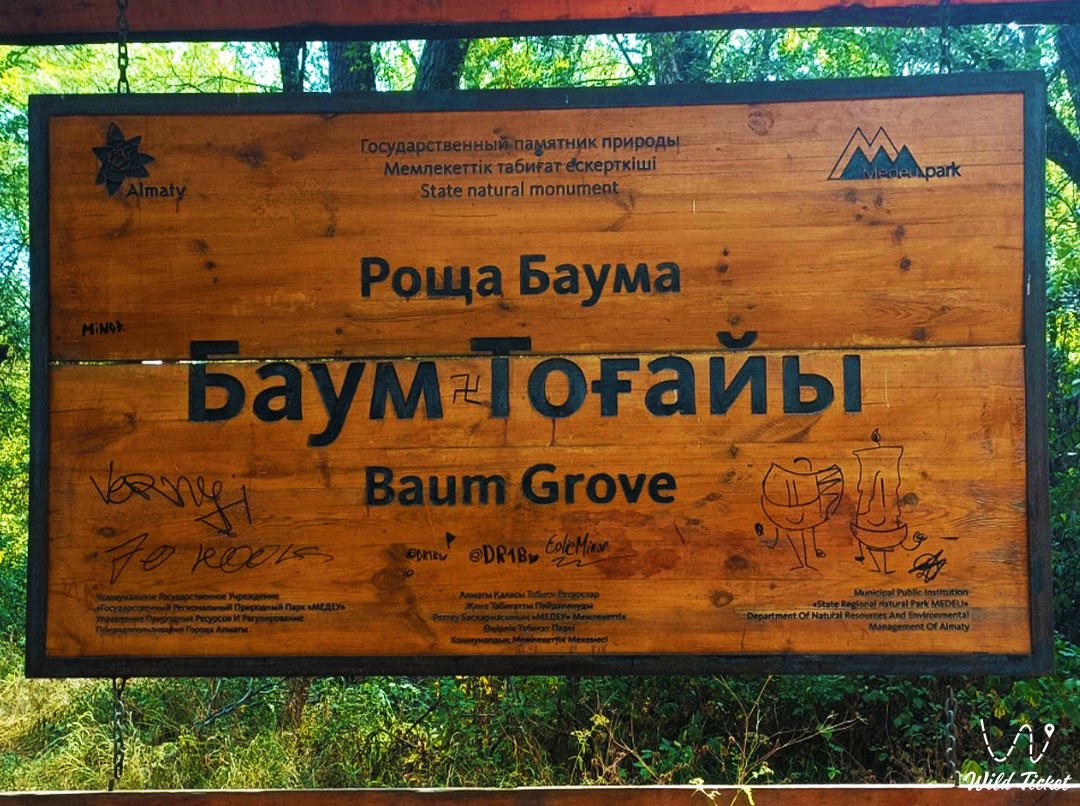 阿拉木图的Baum格罗夫