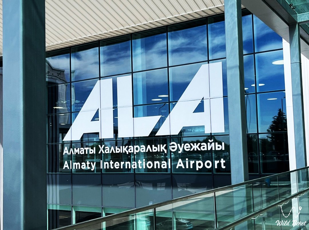 阿拉木图国际机场