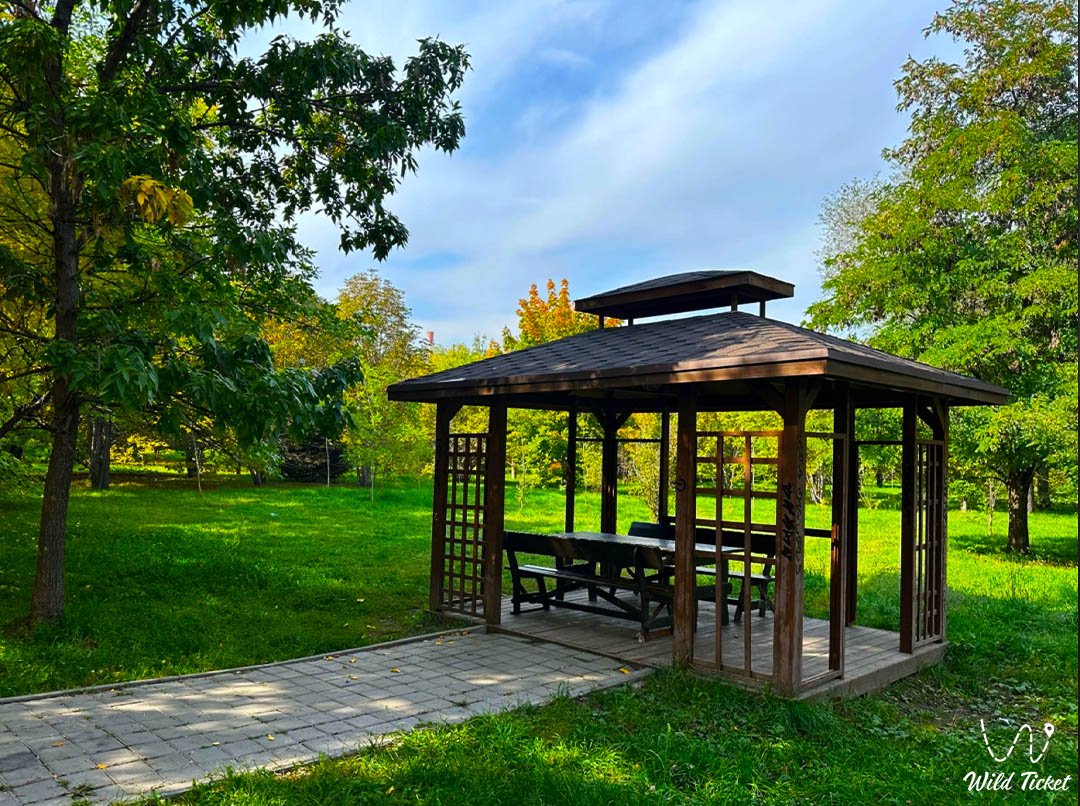 阿拉木图的Yuzhny公园 (南公园)