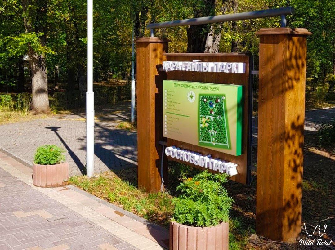 Karagaily松树公园