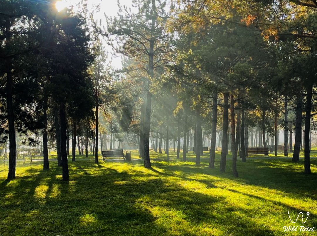 阿拉木图的Gulder公园