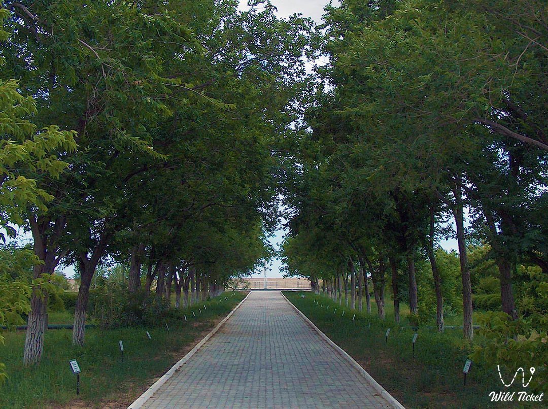 Аллея героев космонавтов на Байконуре
