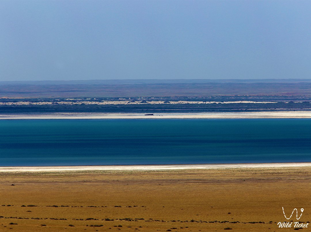 Large Aral Sea
