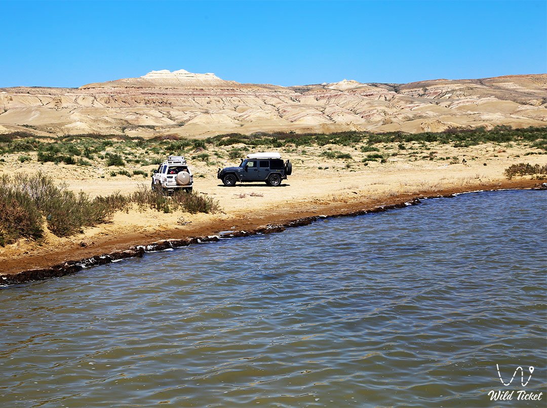 The Aral Sea region in Kazakhstan: a large-scale landscape of ecological revival