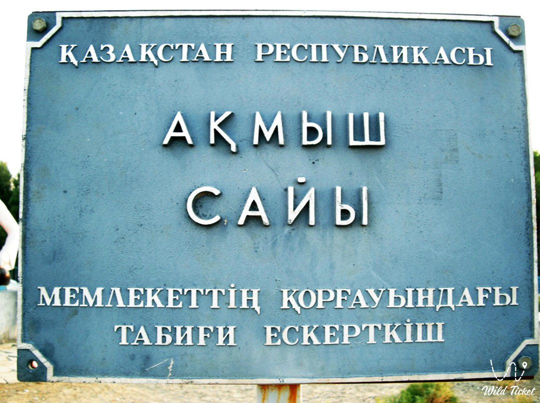 Akmysh tract (Akmysh sai, Akmyshtau)