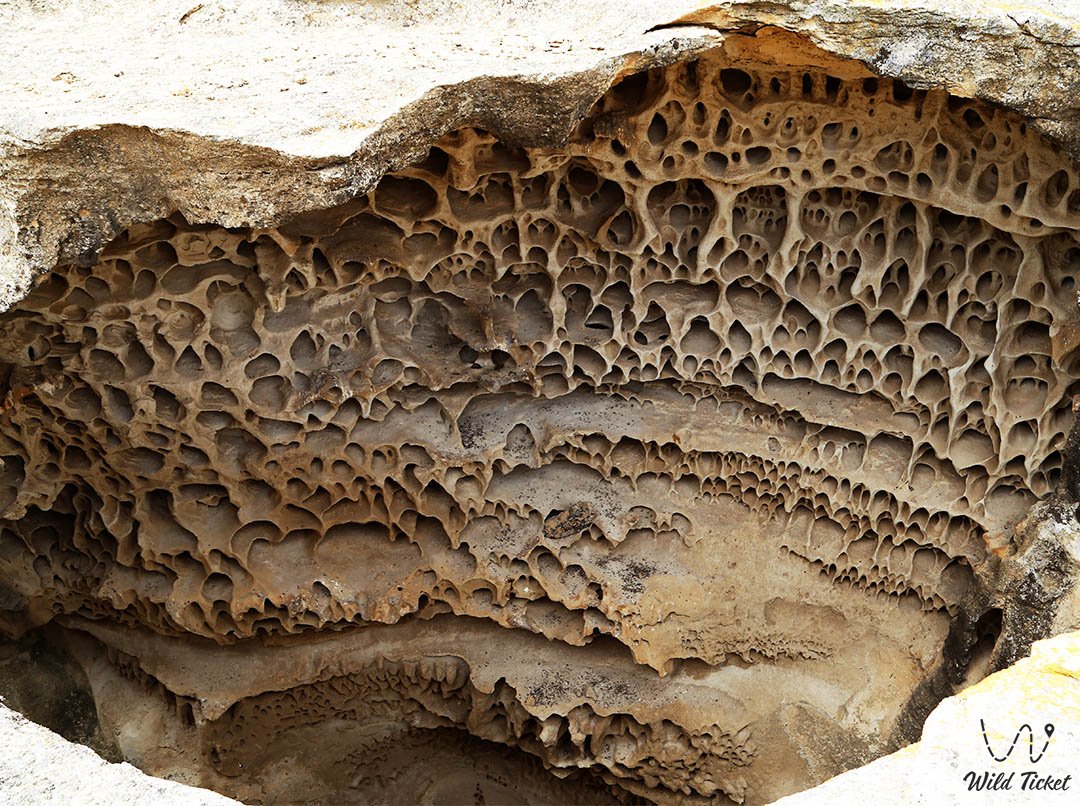 Ybykty Canyon (Kabyrga)