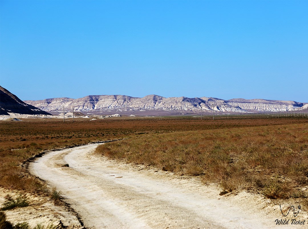 Kenderli-Kayasan protected area on Mangyshlak